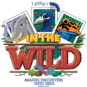 In the Wild VBS